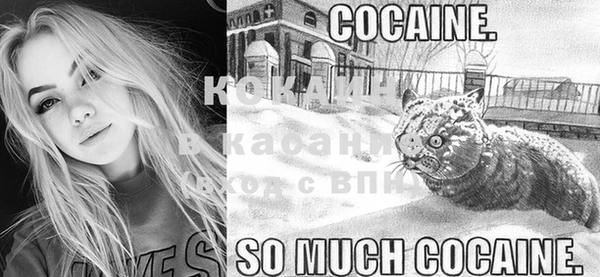 COCAINE Богородицк