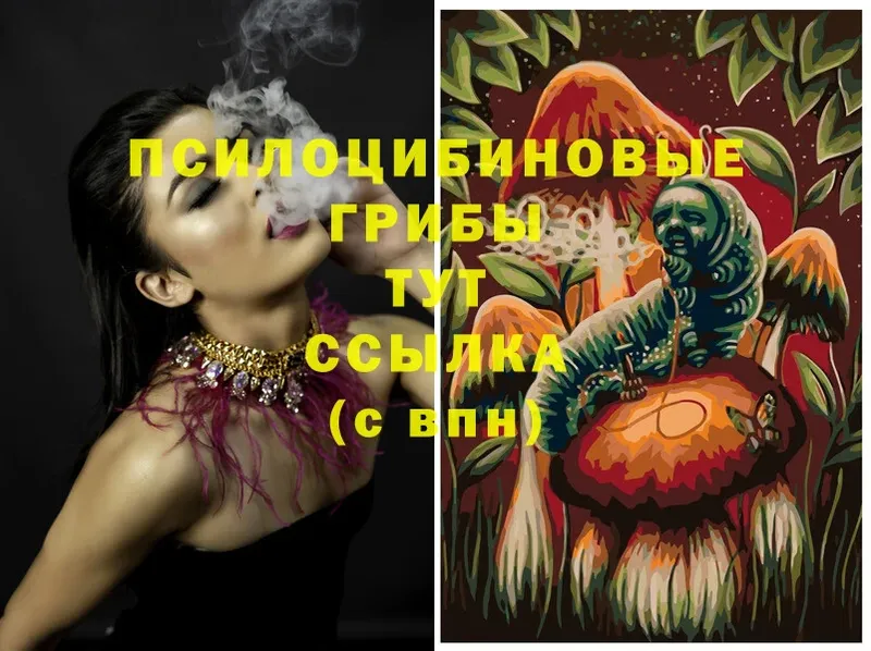 Псилоцибиновые грибы Magic Shrooms  Волчанск 